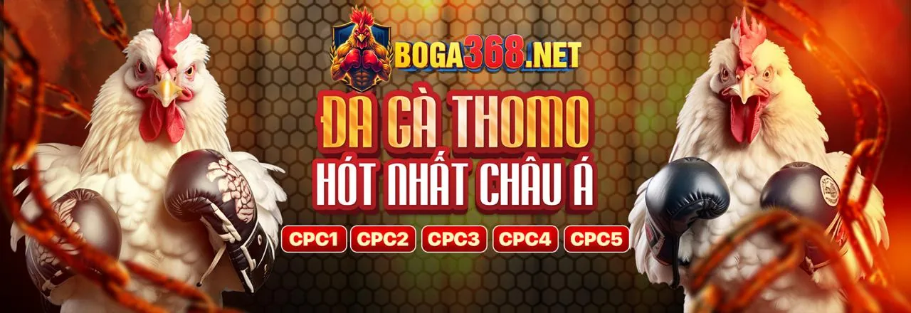 Các loại kèo cược đá gà tại jj8 link mới